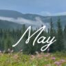 may2026
